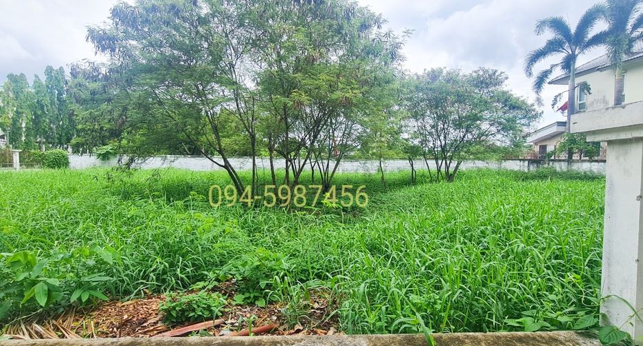 For sale land in Thawi Watthana, Bangkok