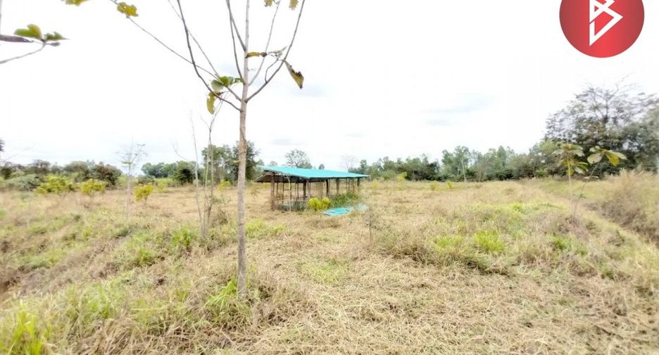 For sale land in Si Bun Rueang, Nong Bua Lamphu