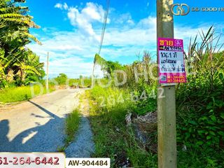 For sale land in Wang Noi, Phra Nakhon Si Ayutthaya