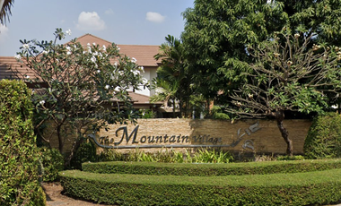 The Mountain Village