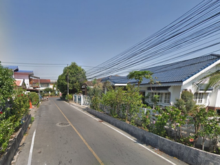 Bua Thong Kheha Bang Bua Thong