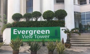 Evergreen View Tower