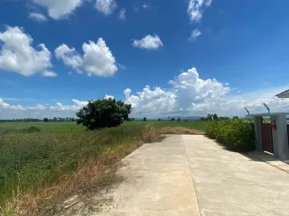 Laongdao Green View