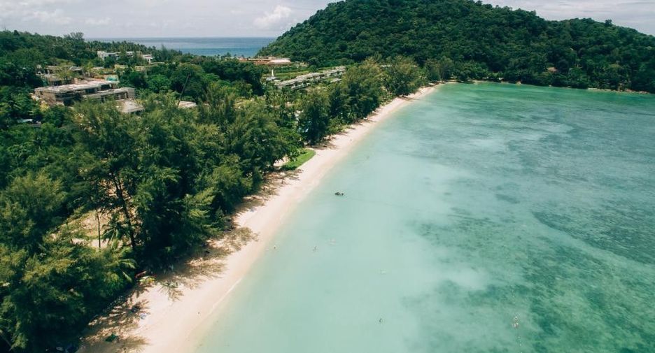 The Viva Patong
