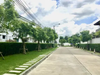 Pleno Wongwaen - Ramintra
