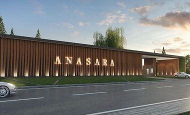 Anasara
