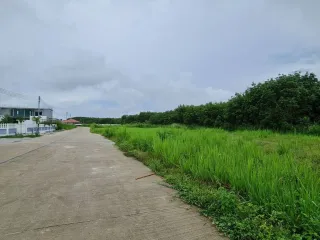 Green Field