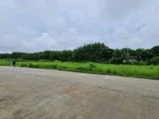 Green Field