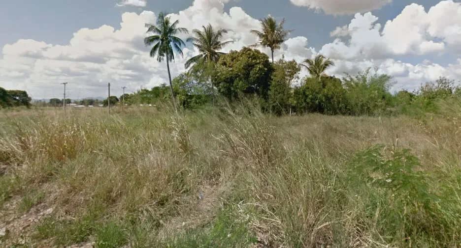 Green Field