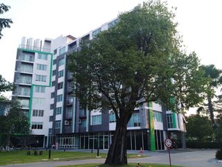 Big Tree Residence