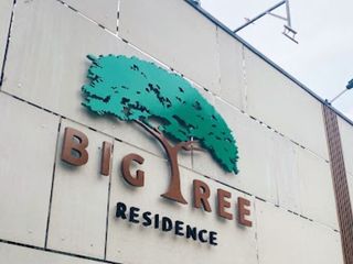 Big Tree Residence