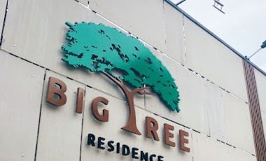 Big Tree Residence