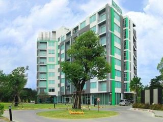 Big Tree Residence