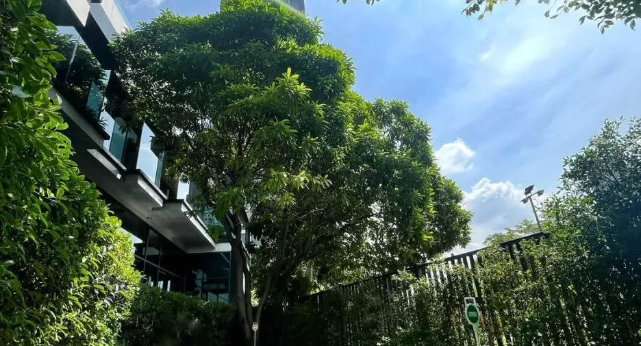 Khanapaya Residencia