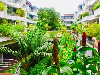 Greenery Place 62