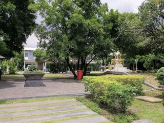 The Plant Citi Ladprao 71