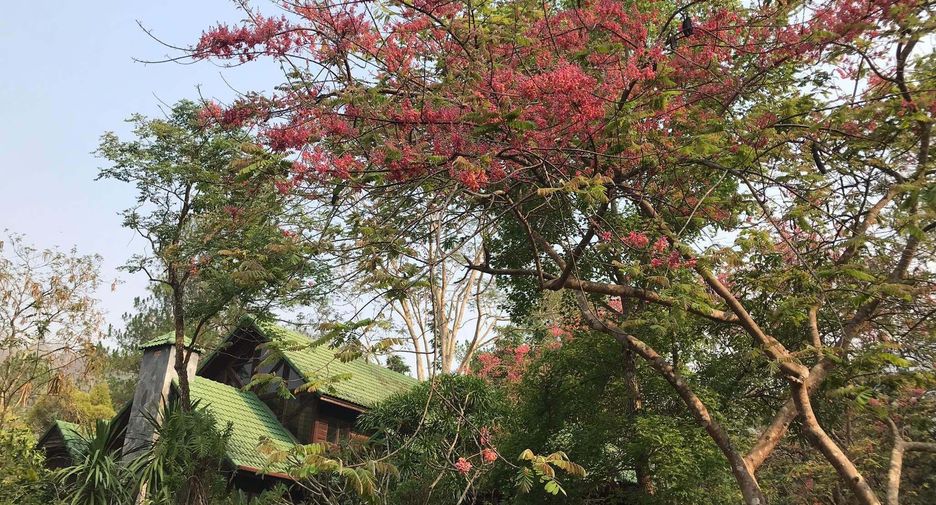 Erawan Valley