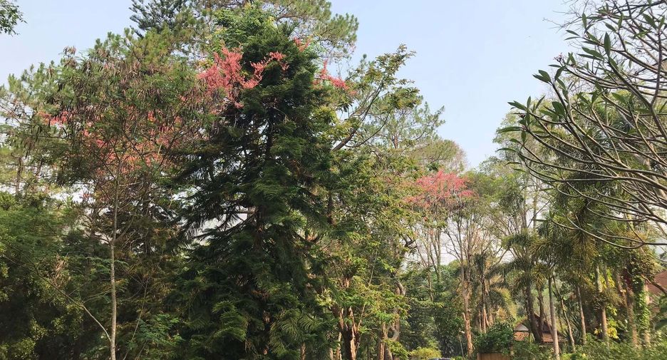 Erawan Valley