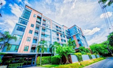 Tree Boutique Condo@Chang klan