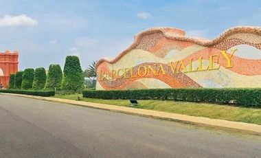 Barcelona Valley