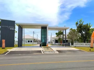 Living Sense 1