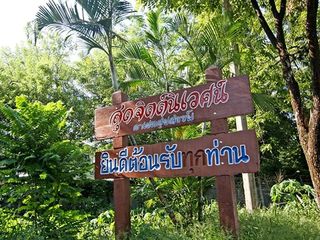 Sutjit Niwet