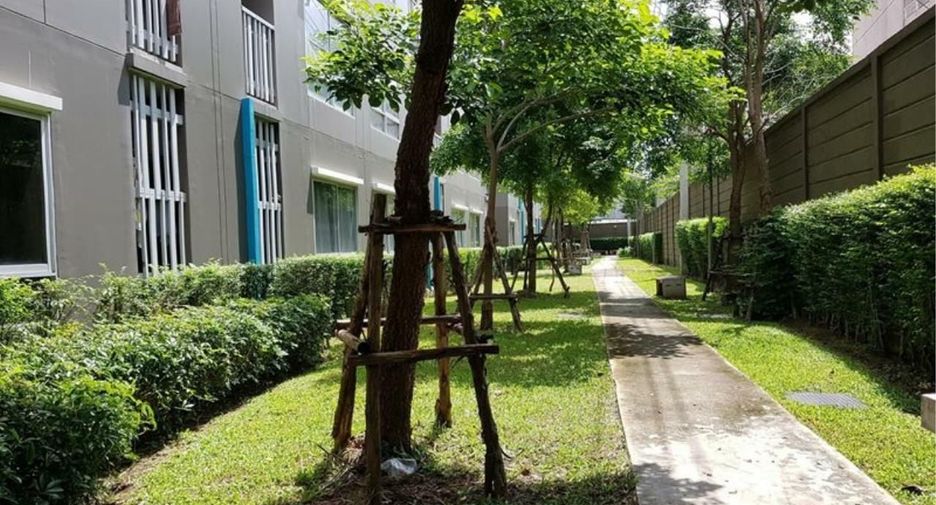 Plum Condo Ladprao 101