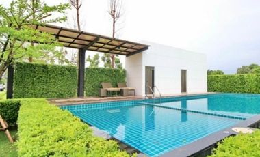 Nirvana Cove On Nut