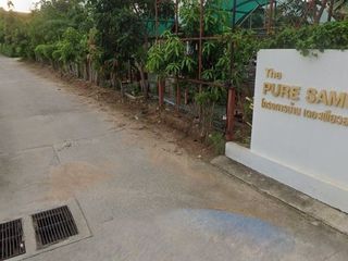 The Pure Samui