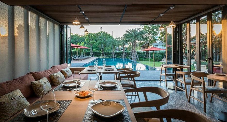 The Silver Palm