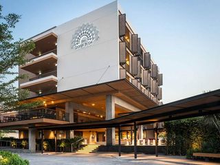 The Silver Palm