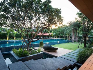 The Silver Palm