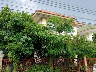 Красивый дом у ручья, 8 Пхуттамонтхон Сай 4