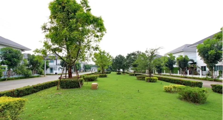 Lanceo Crib Pinklao-Rama 5