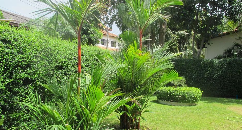 Paradise Villa 1