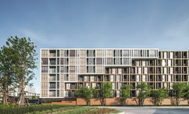 Hasu Haus