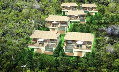 Wild Cottages