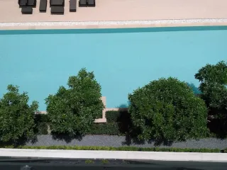 D Condo Campus Resort Ratchaphruek-Charan 13