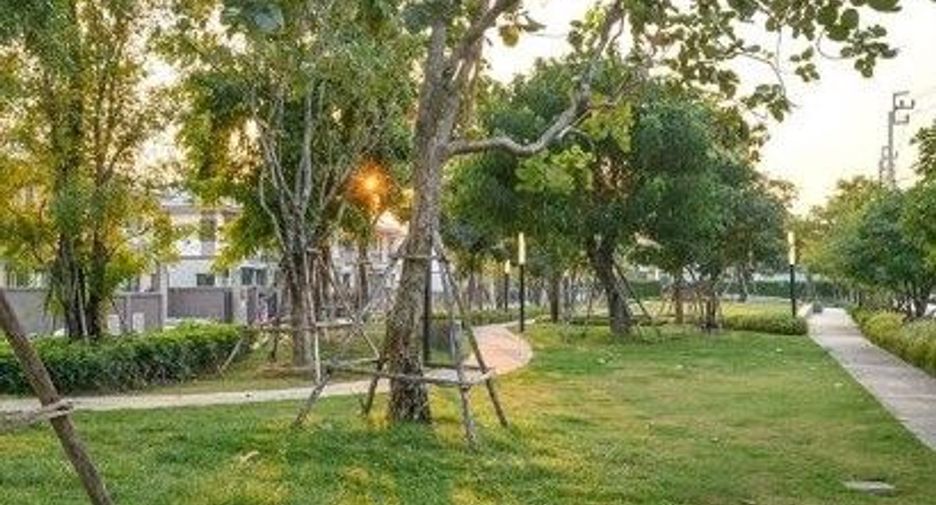Passorn Chaengwattana-Chaiyaphruek