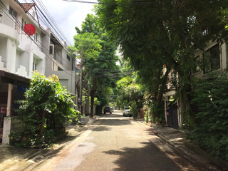 Baan Lat Dao