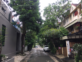 Baan Lat Dao
