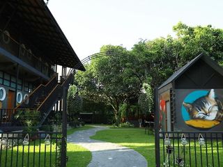 Yellow Pillow Village