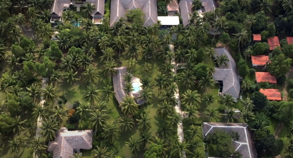 Four Springs Estate