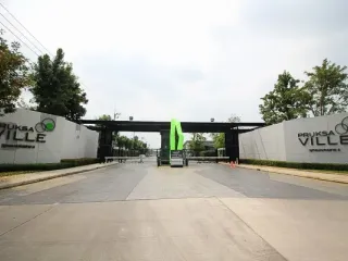 普克萨维勒77 佛统四线