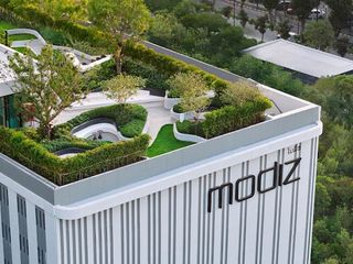 Modiz Avantgarde