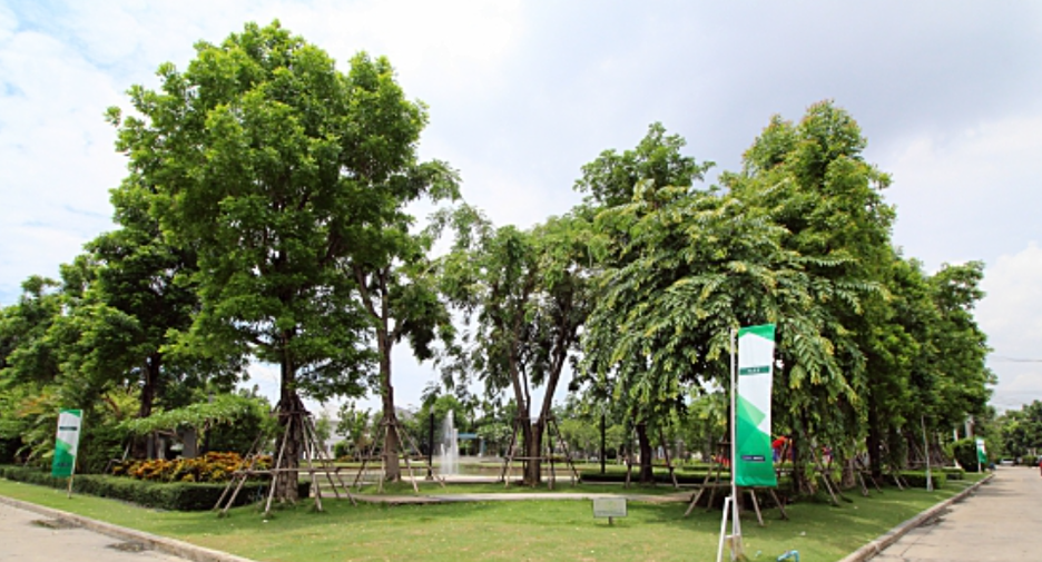 Perfect Park Bang Bua Thong