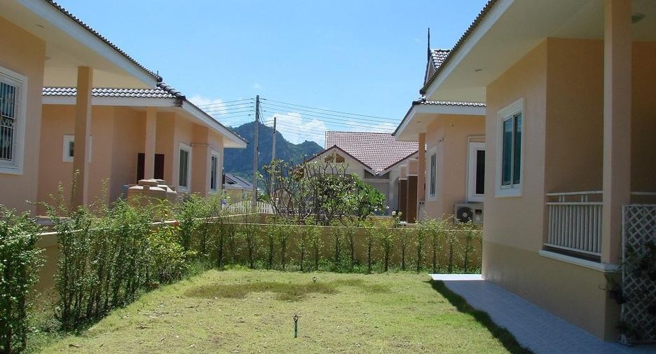 Alex Mountain View 3