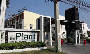 The Plant Citi Sathorn
