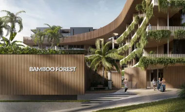 Bosque de Bambú