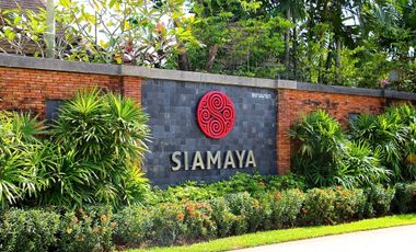 Siamaya